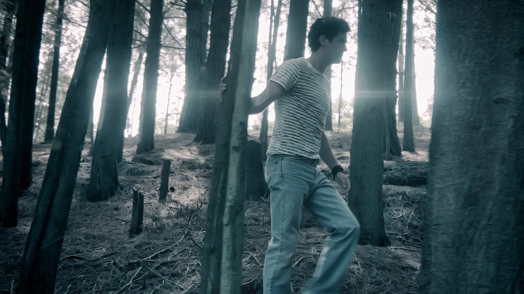 ロミーナ Netflix