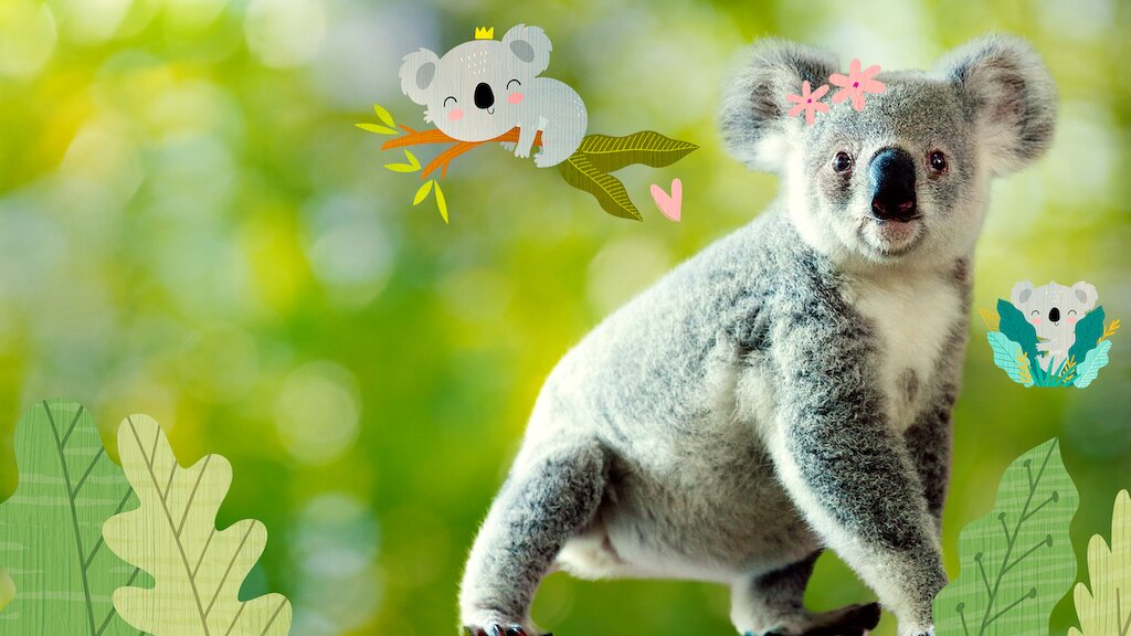 Izzy S Koala World Netflix Official Site