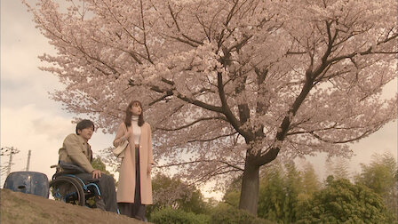 Perfect World Netflix Perfect World Netflix