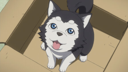 黒子のバスケ Netflix 黒子のバスケ Netflix