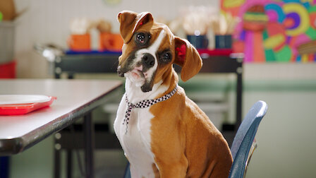 Pup Academy Netflix Official Site Pup Academy Netflix Official Site