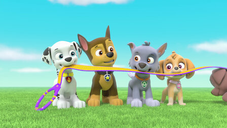 Paw Patrol La Pat Patrouille Netflix Paw Patrol La Pat Patrouille Netflix