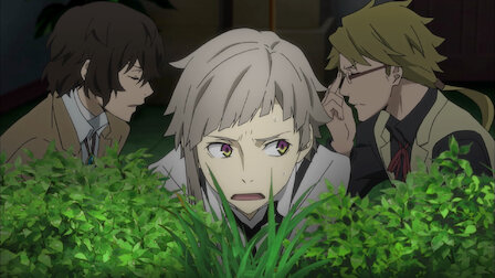 photo Bungou Stray Dogs Season 1 Cover bungo stray dogs netflix