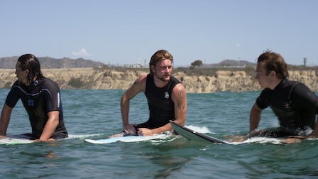 Animal Kingdom Netflix