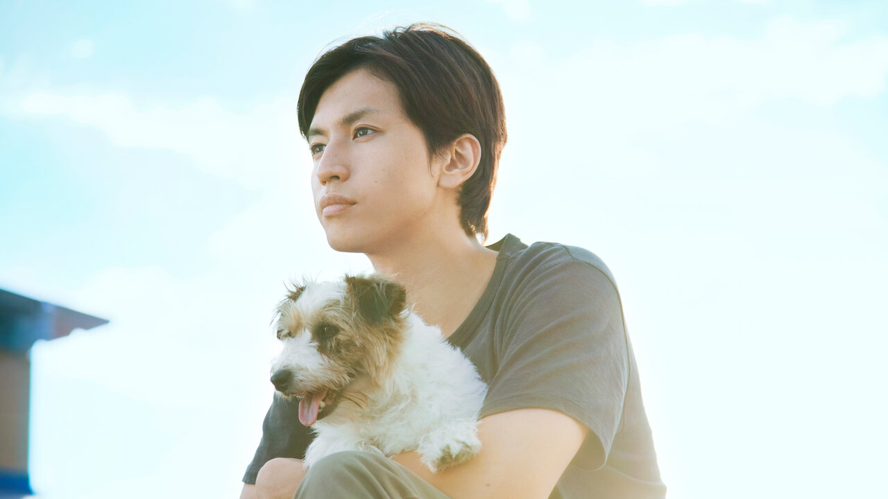 100回泣くこと Netflix 100回泣くこと Netflix