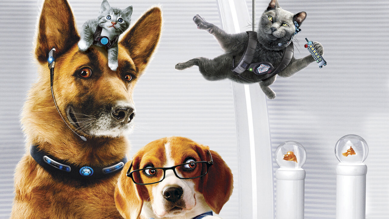 Comme Chiens Et Chats La Revanche De Kitty Galore Netflix Comme Chiens Et Chats La Revanche De Kitty Galore Netflix
