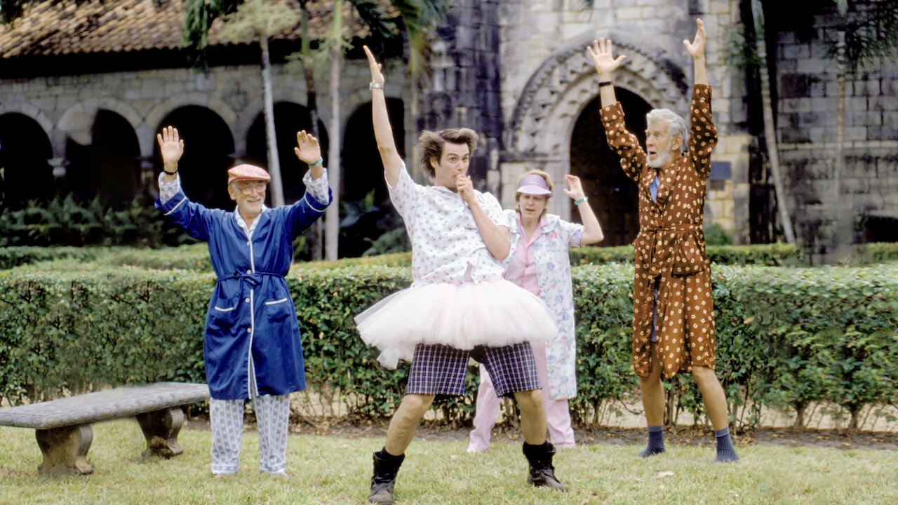 Ace Ventura Pet Detective Netflix