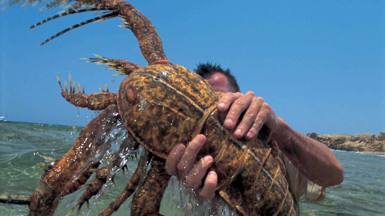 walking with dinosaurs special sea monsters