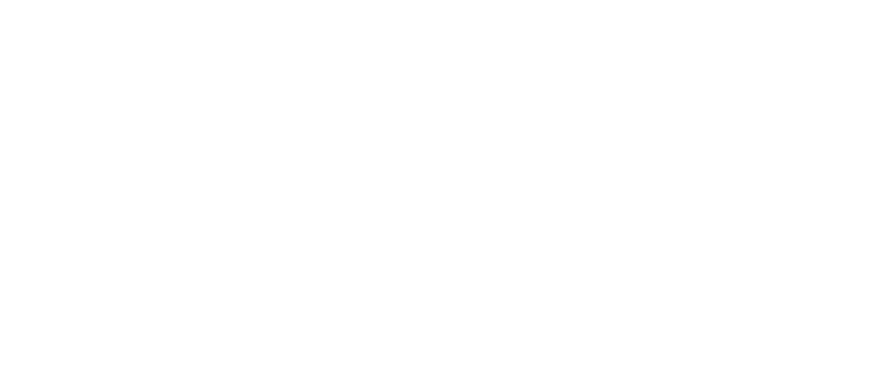 ロミーナ Netflix