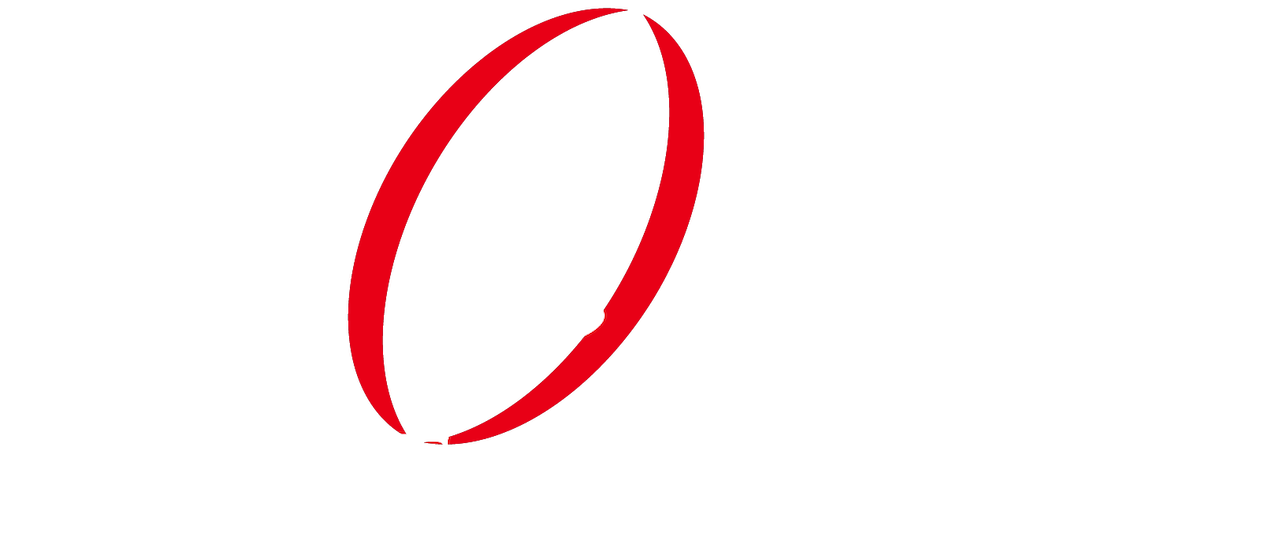 花と蛇 Zero Netflix