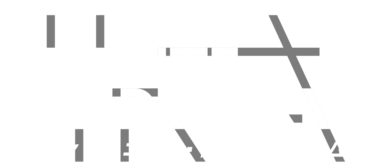 Infinite Dendrogram Netflix