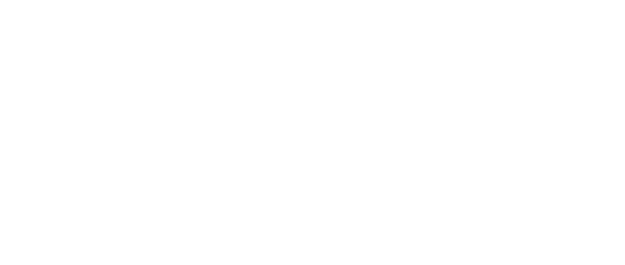 The Blind Side Netflix