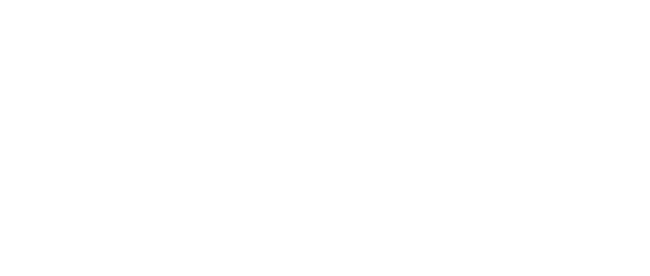 Invisible Invisible