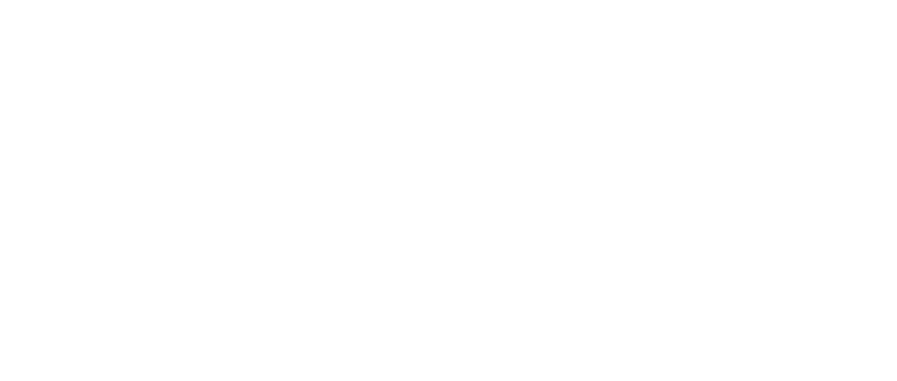 人気ブランドの新作 To Ark Aurora 2019 Chicken Tour Of Bump ミュージック Csjla Pe