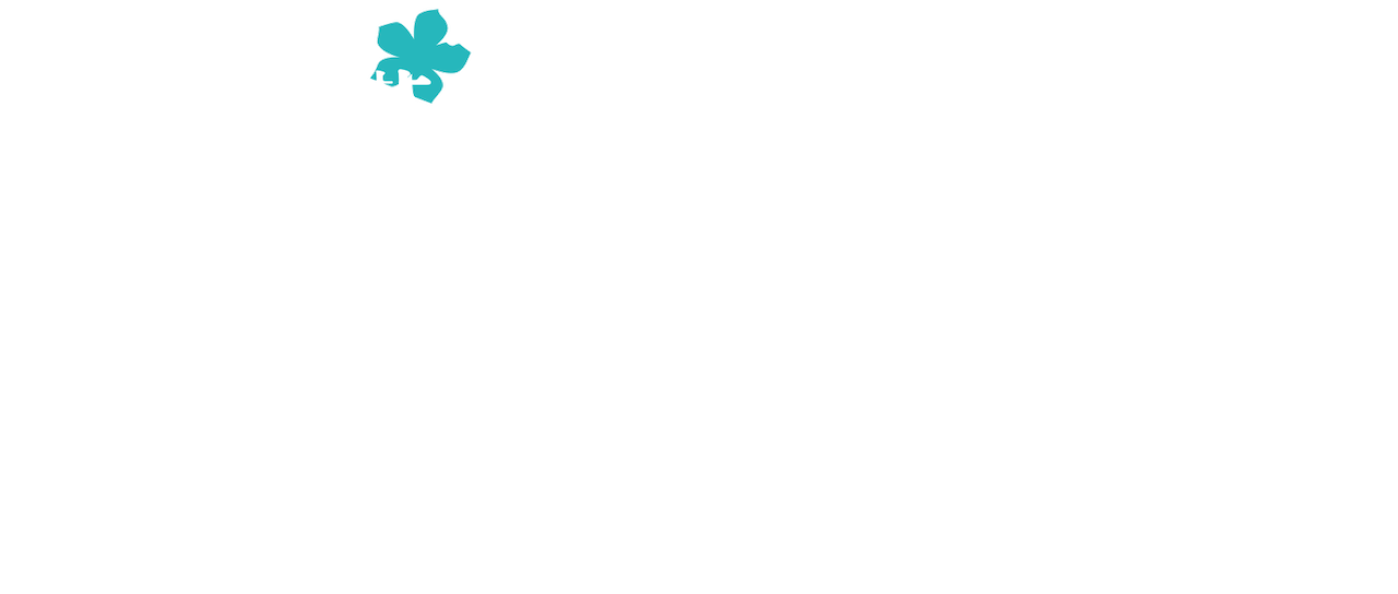 あの日見た花の名前を僕達はまだ知らない Netflix