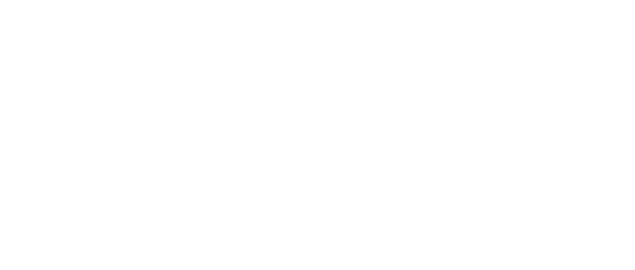 Les perdants magnifiques