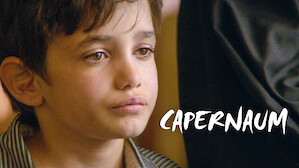 Critically Acclaimed Films Netflix Official Site