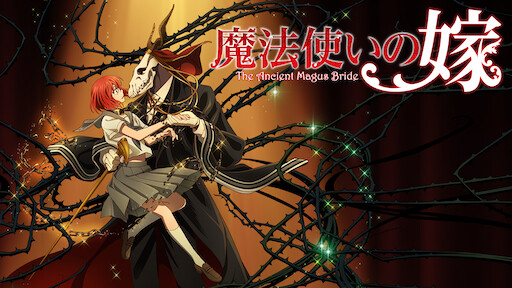 彩雲国物語 Netflix 彩雲国物語 Netflix